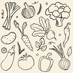 Hand Drawn Vegetable Doodle Set with Onion Beet Garlic Eggplant Carrot Potato Pepper and Broccoli