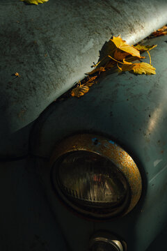 Rusty headlight and autumn leaves on vintage car