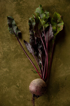 Freshly harvested beetroot