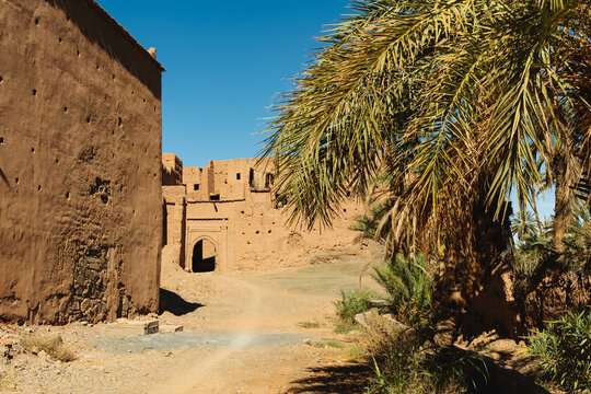 Adobe Ksar Gate Framed by Palm Trees