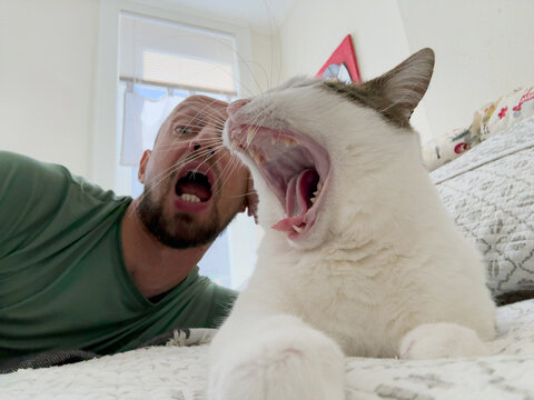 Cat and Owner Share a Moment of Yawning Fun Indoors