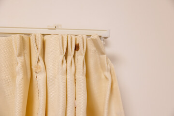 Natural Beige Curtain with White Background and Copy Space