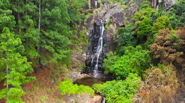 A beautiful waterfall among the rainforest and vegetation. Bambarakanda Falls. Sri Lanka.