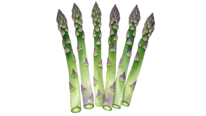 Five asparagus spears with green and purple tips arranged in a fan shape against a white background