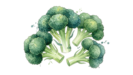 Fresh Broccoli Florets on White Background