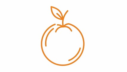 vector illustration of an orange