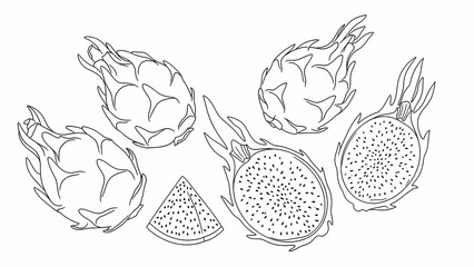 hand drawn vector illustration of a cactus