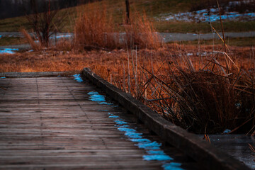 Obraz premium Wooden boardwalk path through dry reeds in a winter wetland landscape. Scenic nature walkway with copy space