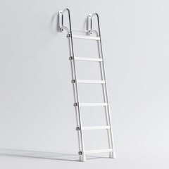 Stainless Steel Wall Ladder