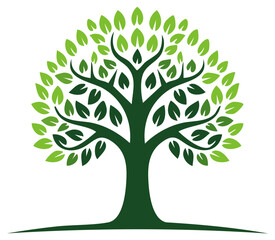 Fototapeta premium Stylized Green Tree with Dense Leafy Canopy and Root System