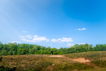 Scenic view of nature Lake with Green Forest and Clear Blue Sky