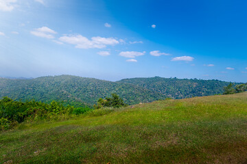 Fototapeta premium Scenic view of nature Lake with Green Forest and Clear Blue Sky