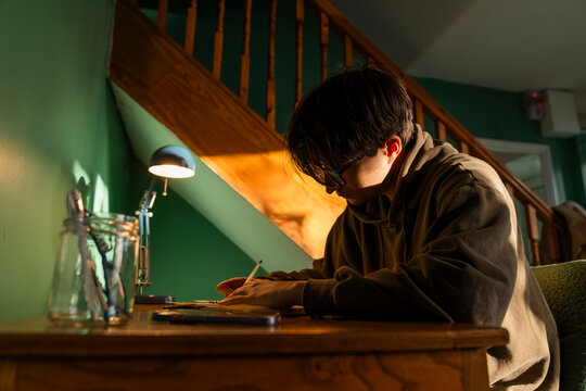 Young Student Studies at Desk in Morning Light
