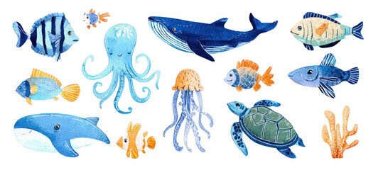 Marine life illustration set on transparent background