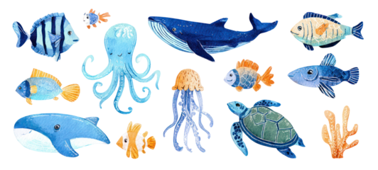Marine life illustration set on transparent background