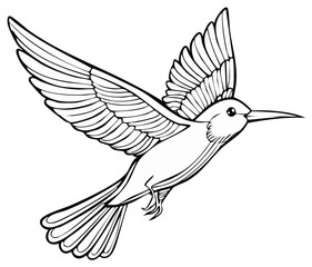 Obraz premium Hummingbird in flight vector illustration. Outline drawing of a bird with open wings.