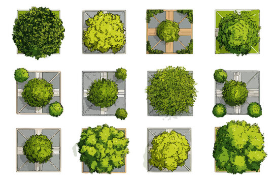 上空から見た多様な樹木と低木のイラストセット。景観設計や建築パースに使える、緑豊かな自然の要素を白背景に配置したグラフィック素材。