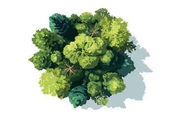 様々な緑の葉を持つ木々が上空から見たイラストで、自然の豊かさと環境保護を象徴し、透明背景でデザインに使いやすい。