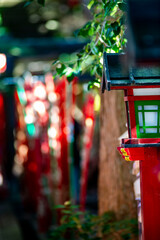 鎌倉2615　八雲神社4　灯籠