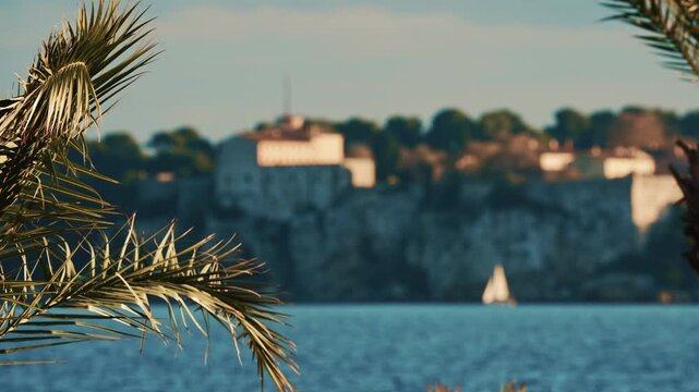 Palm trees swaying gently in the foreground with the historic Fort Carre overlooking the Mediterranean Sea in Antibes