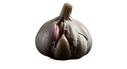 Fresh Garlic: An close-up view of a whole, fresh garlic bulb, its papery layers and individual cloves showcased in detail, emphasizing its culinary and health benefits.