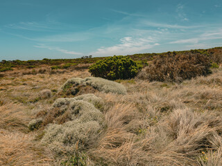 London Bridge Coastal Landscape on Great Ocean Road, Victoria, Australia