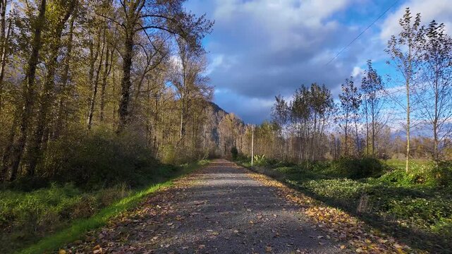 Peaceful Autumn Path Through Forest Leading to Majestic Mountains in British Columbia, Canada