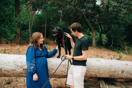 Couple petting Labrador standing on large tree log