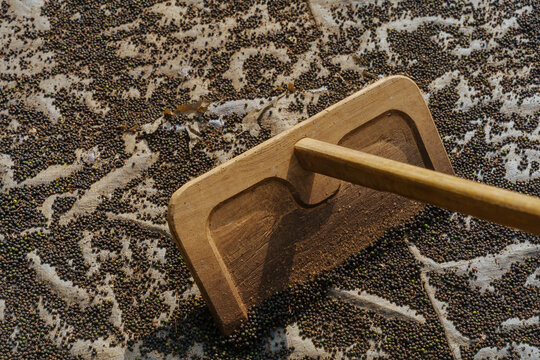 Wooden Tool Used to Sweep Black Pepper Seeds on a Farm