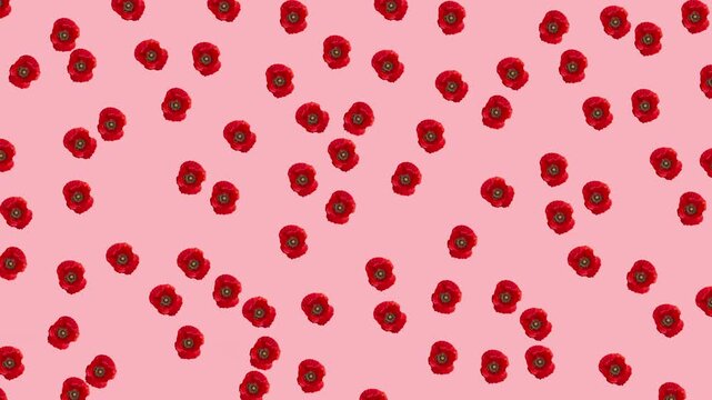 Soft and elegant floral watercolor pattern with pastel blossoms on a pink background, perfect for romantic, decorative, and fashion oriented designs.