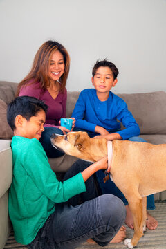 family dog together at home