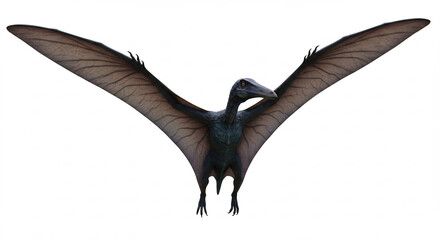 Majest�tischer Flugsaurier im Flug mit ausgebreiteten Fl�geln schwebend vor reinwei�em Studiohintergrund. AI Generated