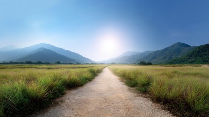 Serene Landscape with Pathway Through Lush Green Grass and Majestic Mountains Under Clear Blue Sky During Daylight Hours