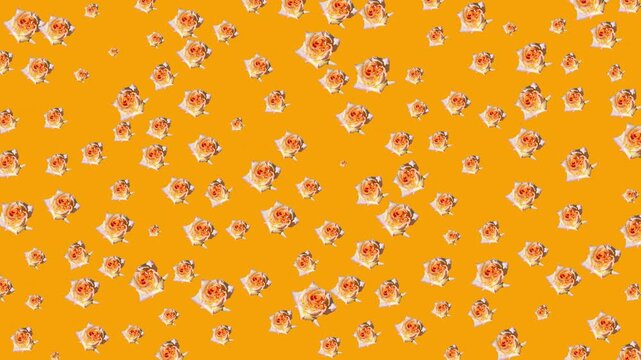 Soft and elegant floral watercolor pattern with pastel blossoms on a pink background, perfect for romantic, decorative, and fashion oriented designs.