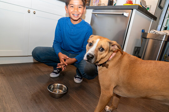 dog water bowl