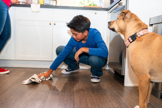 boy cleaning ktichen floor