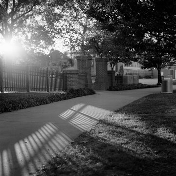 Carroll Creek Park