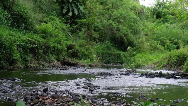river in the woods, Java, Indonesia, South East Asia