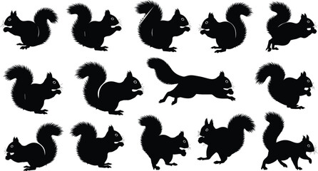 Obraz premium Collection, of, adorable, squirrel, silhouettes, in, various, poses, like, jumping, sitting, and, eating, for, nature, forest, and, wildlife, design, isolated, black, vector, illustrations, on, white