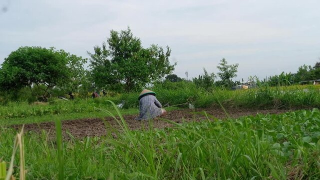 woman sitting on a grass, Java, Indonesia, South East Asia