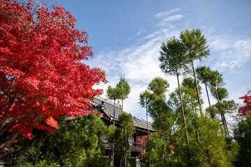 Late autumn in the Takamine region of Kyoto, Japan