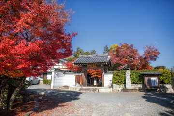 Fototapeta premium Late autumn in the Takamine region of Kyoto, Japan