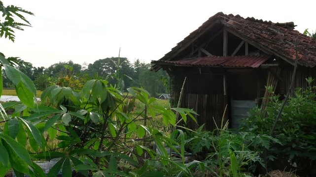 old farm house, Java, Indonesia, South East Asia