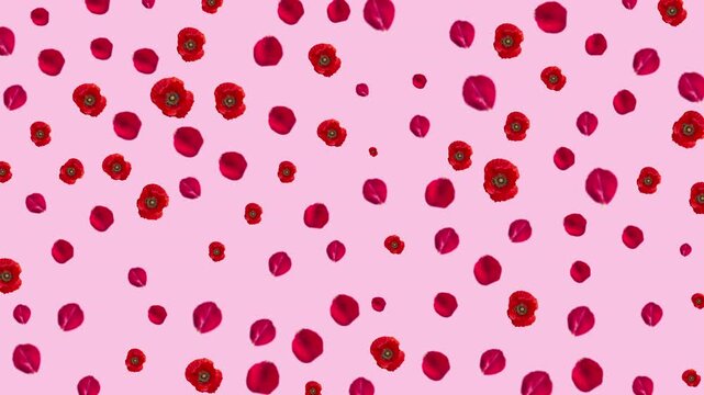 Pastel watercolor floral pattern with roses and leaves on a blush pink background, offering a soft, romantic, and elegant decorative style.