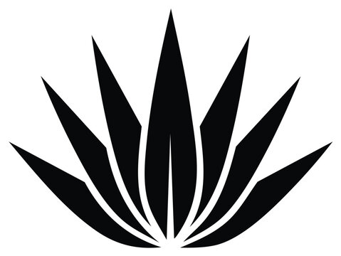 Minimalist agave plant silhouette icon. Stylized black succulent vector for logo or decoration.