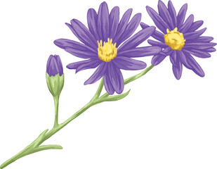 Aster Flower Botanical Painting Elegant Wildflower Art