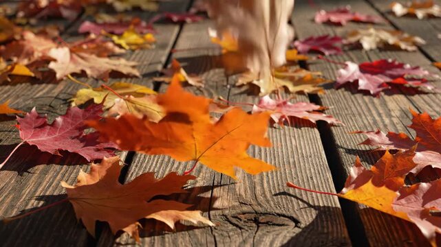 Colorful Autumn Maple Leaves on Wood - A variety of maple leaves, ranging in color from red to orange to yellow, are scattered across weathered wooden planks.