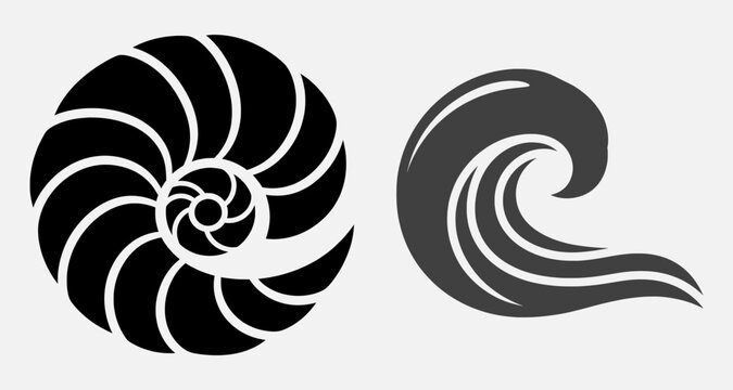 Vector illustration of a nautilus shell and wave symbol on a white background