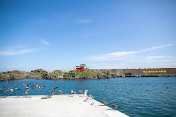 Obraz premium A small fishing port in Hachinohe City, Aomori Prefecture, Japan