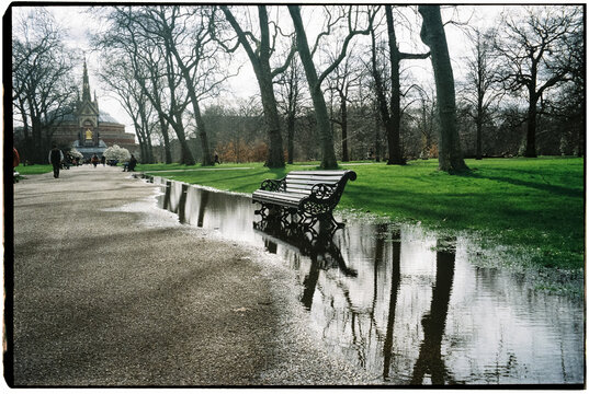 Film photo of a park after rain with reflections in puddles